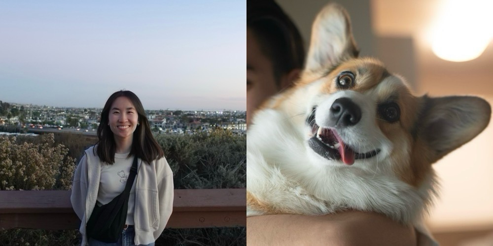 No description has been provided for this image