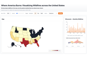 Where America Burns: Visualizing Wildfires across the United States thumbnail