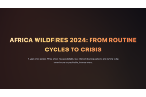 Africa Wildfires 2024: From Routine Cycles to Crisis thumbnail