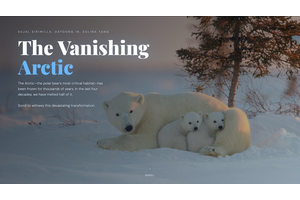 The Vanishing Arctic thumbnail