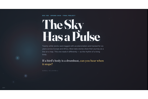 The Sky Has a Pulse thumbnail